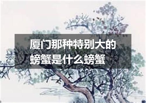 厦门那种特别大的螃蟹是什么螃蟹