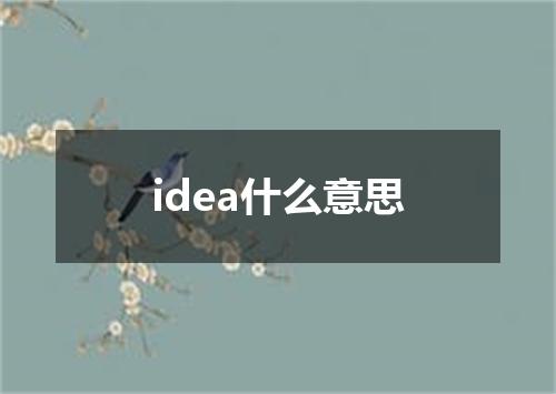idea什么意思