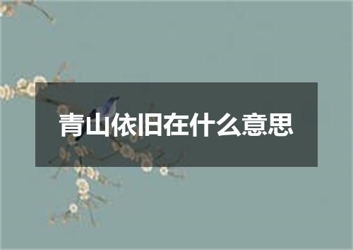 青山依旧在什么意思
