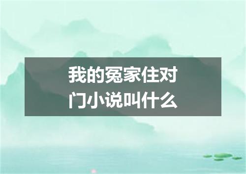 我的冤家住对门小说叫什么