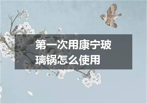 第一次用康宁玻璃锅怎么使用