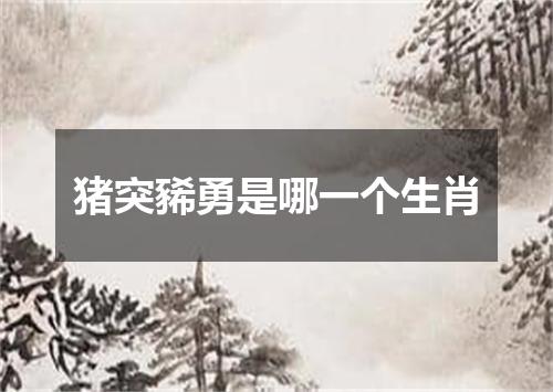 猪突豨勇是哪一个生肖