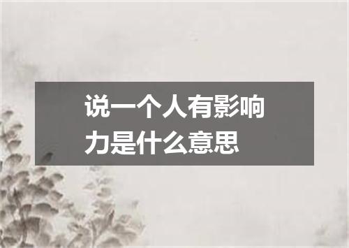 说一个人有影响力是什么意思