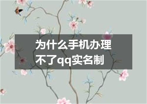 为什么手机办理不了qq实名制