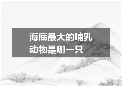 海底最大的哺乳动物是哪一只