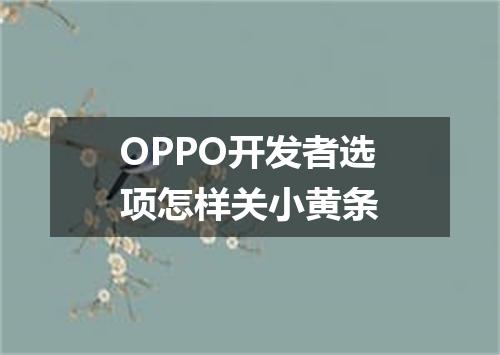 OPPO开发者选项怎样关小黄条