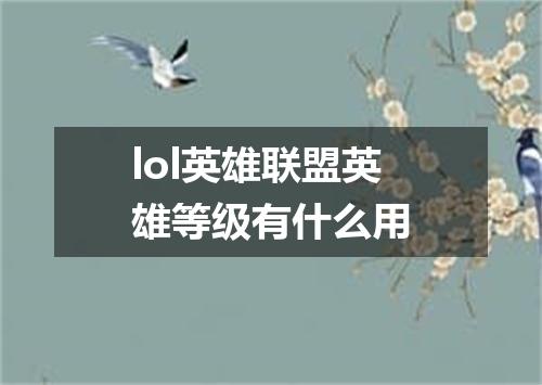 lol英雄联盟英雄等级有什么用