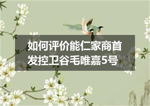 如何评价能仁家商首发控卫谷毛唯嘉5号
