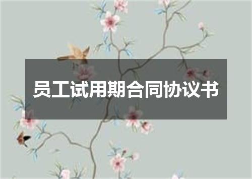 员工试用期合同协议书