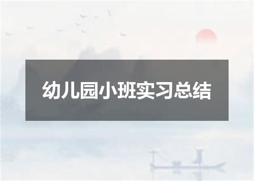 幼儿园小班实习总结