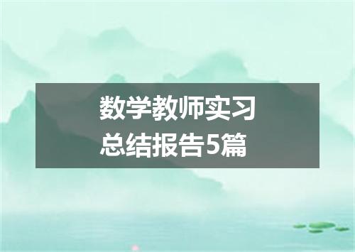 数学教师实习总结报告5篇