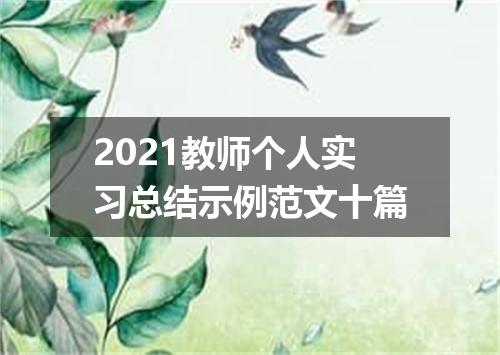 2021教师个人实习总结示例范文十篇