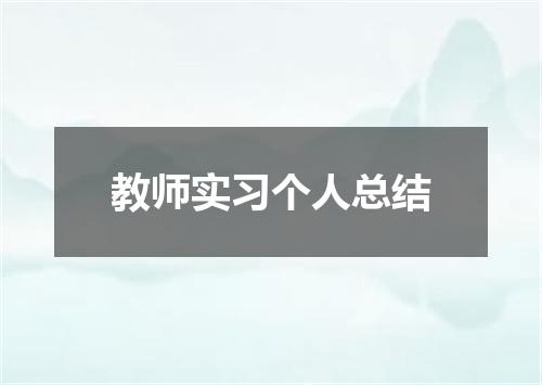 教师实习个人总结