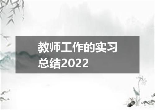 教师工作的实习总结2022