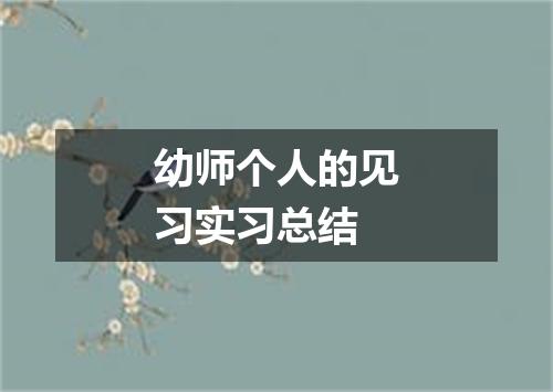 幼师个人的见习实习总结