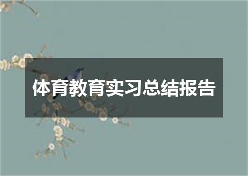 体育教育实习总结报告