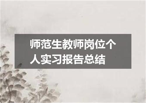 师范生教师岗位个人实习报告总结