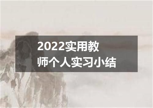 2022实用教师个人实习小结