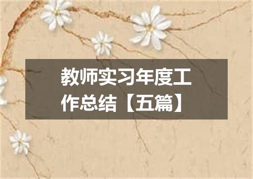 教师实习年度工作总结【五篇】