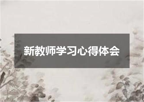 新教师学习心得体会
