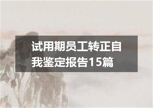 试用期员工转正自我鉴定报告15篇