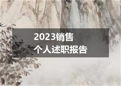 2023销售个人述职报告
