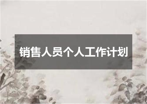 销售人员个人工作计划