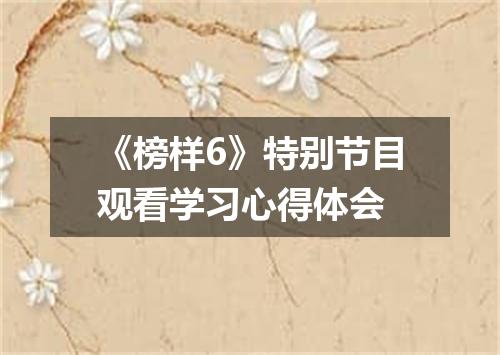 《榜样6》特别节目观看学习心得体会