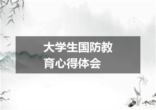 大学生国防教育心得体会