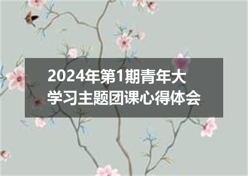 2024年第1期青年大学习主题团课心得体会