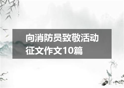 向消防员致敬活动征文作文10篇