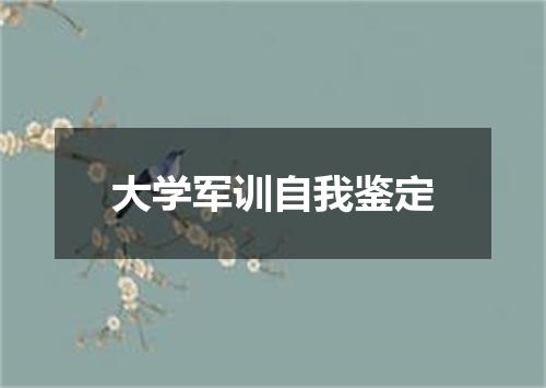 大学军训自我鉴定