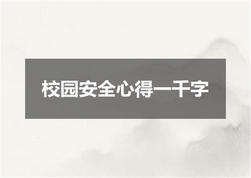 校园安全心得一千字