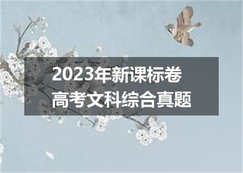 2023年新课标卷高考文科综合真题
