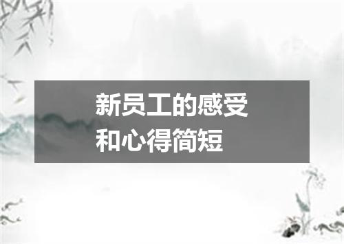 新员工的感受和心得简短