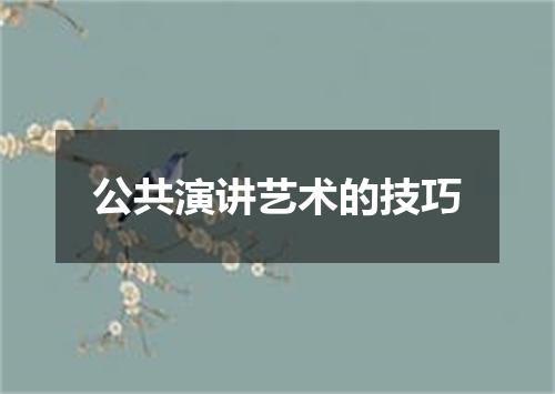公共演讲艺术的技巧
