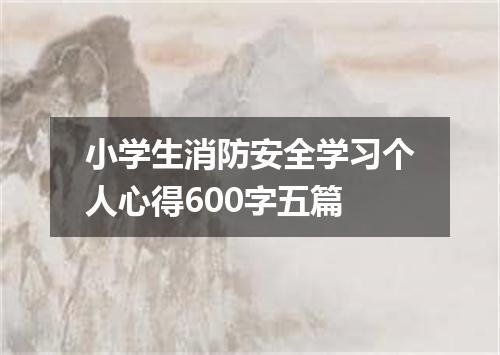小学生消防安全学习个人心得600字五篇