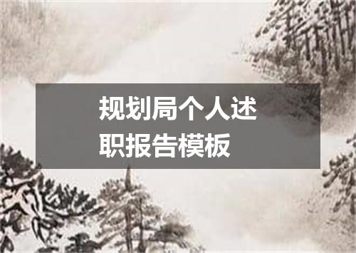 规划局个人述职报告模板