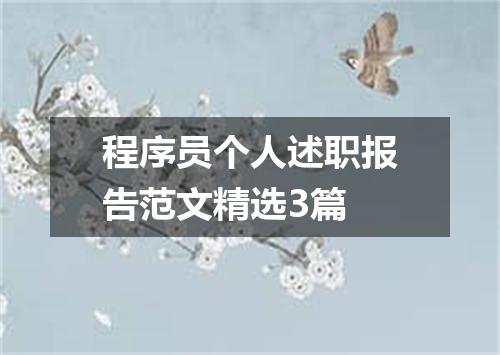 程序员个人述职报告范文精选3篇