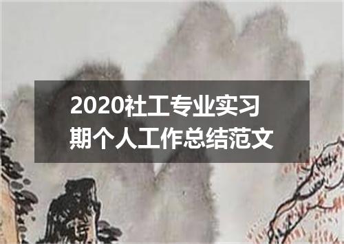 2020社工专业实习期个人工作总结范文