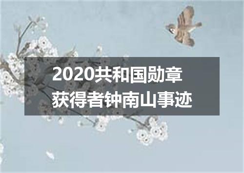 2020共和国勋章获得者钟南山事迹