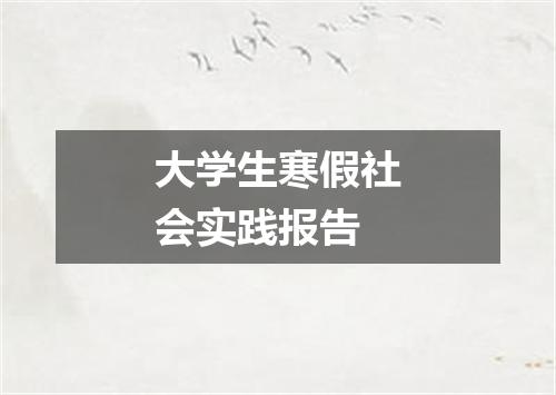 大学生寒假社会实践报告