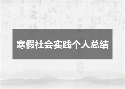 寒假社会实践个人总结