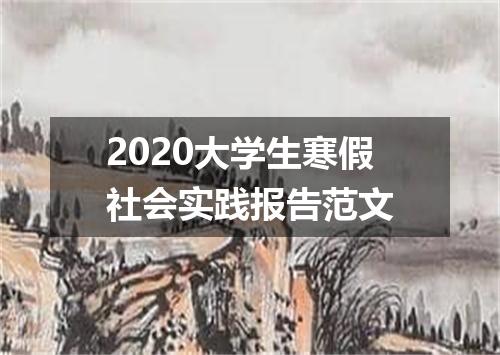 2020大学生寒假社会实践报告范文