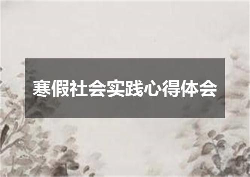 寒假社会实践心得体会