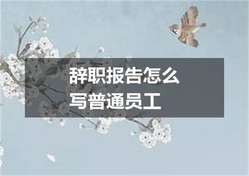 辞职报告怎么写普通员工