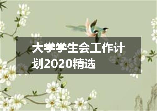 大学学生会工作计划2020精选
