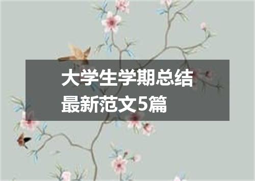 大学生学期总结最新范文5篇
