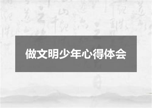 做文明少年心得体会
