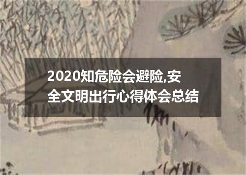 2020知危险会避险,安全文明出行心得体会总结